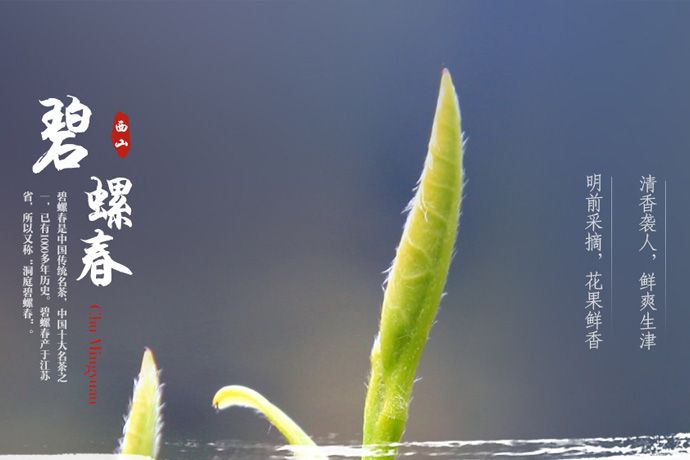 苏州初茗源茶叶