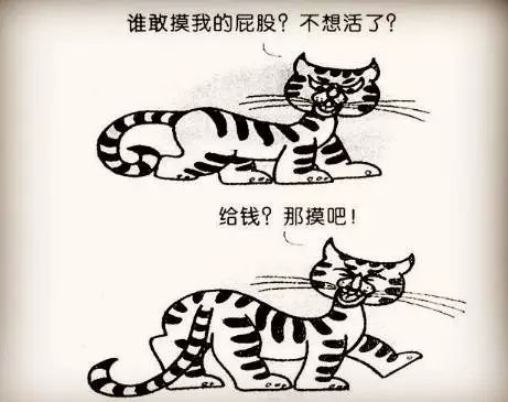 5.webp