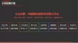13.webp